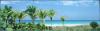 South Beach II