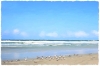 Shore Birds II