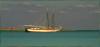El Caribe II