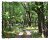 A Walk in the Woods