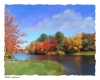 Ashland Splendor