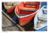Dockside Dorys