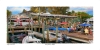 Life on the Docks