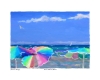 Summer Breeze