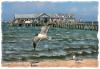 The City Pier, Est. 1910