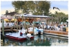 Dining at Star - Cortez Fishing Village, Cortez, Florida
