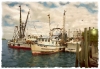 Dockside - Cortez Fishing Village, Cortez, Florida