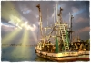 Evening Splendor - Cortez Fishing Village, Cortez, Florida