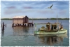 Heading Out - Cortez Fishing Village, Cortez, Florida