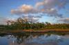 Emerson Point - Small