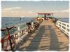 Biking to the Rod & Reel