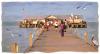 City Pier Life - Anna Maria Island