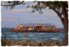 Fish, Eat, Relax - Anna Maria City Pier
