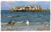 Fishing at the Pier - Anna Maria Island
