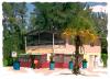 Old Duffy's Tavern - Anna Maria Island