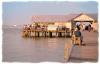 Today at the Pier - Anna Maria Island