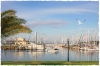 Palmetto Waterfront