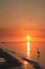 Island Sun