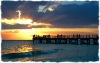 Sunset Manatee Beach